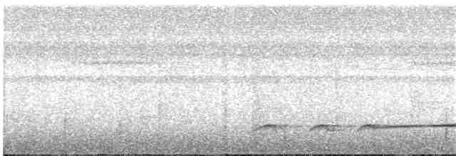 Лінивка-смугохвіст західна - ML342330441
