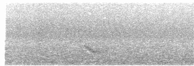 Дрізд-короткодзьоб бурий - ML342356511