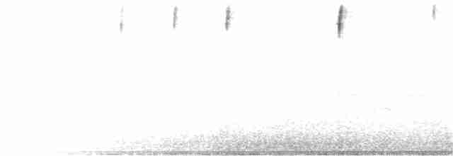 Streifenrückenammer [botterii-Gruppe] - ML342416251
