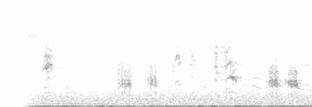 Great Reed Warbler - ML342508721
