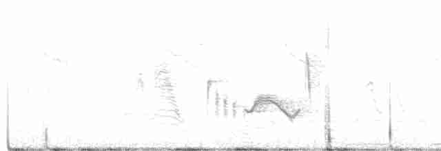 holub bledočelý - ML342508961