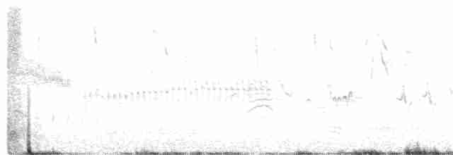 Sperlingsvogel, unbestimmt - ML342509171