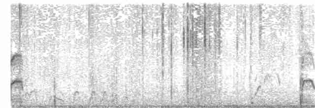 白腰叉尾海燕 - ML342579901
