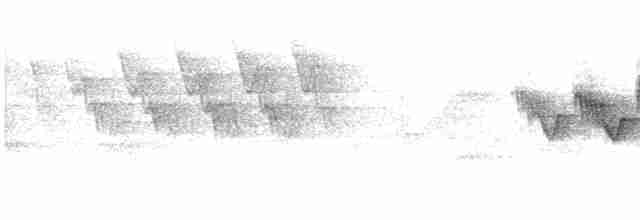 Cerulean Warbler - ML342699711
