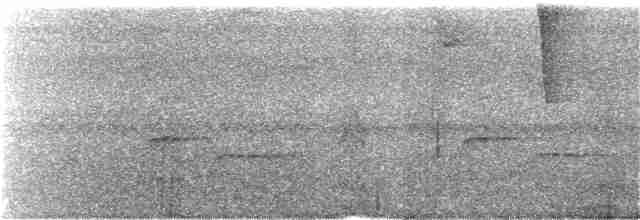 Gray-headed Tanager - ML342719151