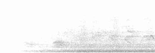 Cratérope de brousse - ML342727541