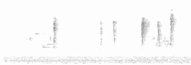 Черногорлая хвойница - ML342735621