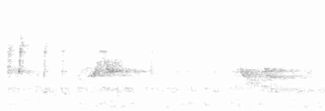 svartbrystparula - ML342736141