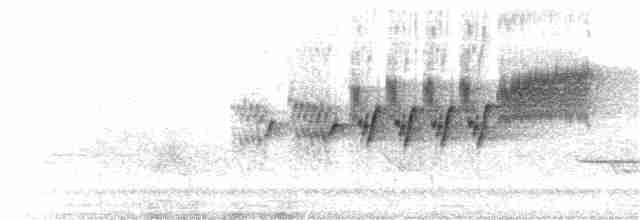 Cerulean Warbler - ML342751661