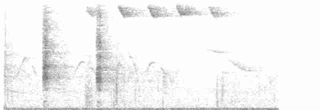 Blackpoll Warbler - ML342757251