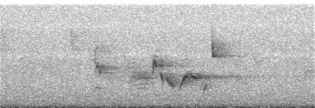Vireo Ojiblanco - ML342806471