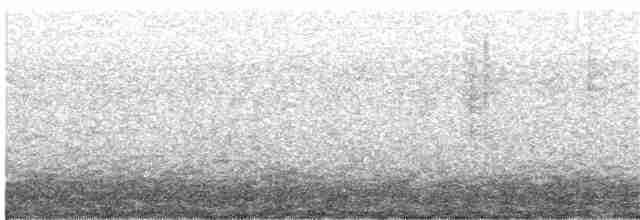 Тиранчик-тонкодзьоб південний - ML342825291