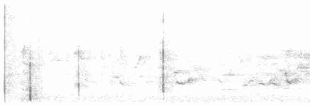 Oriole des vergers - ML342986721