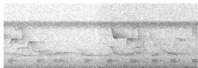 Tyranneau à toupet (subcristata/straminea) - ML343020061
