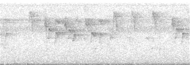 Серогрудая белоглазка - ML343025361