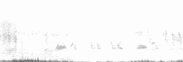 Woodchat Shrike - ML343058261