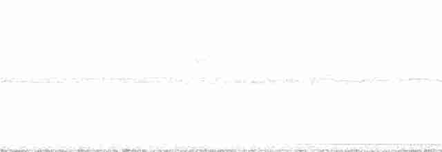 Little Tinamou - ML343059061