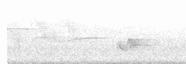 Kentucky Warbler - ML343089911