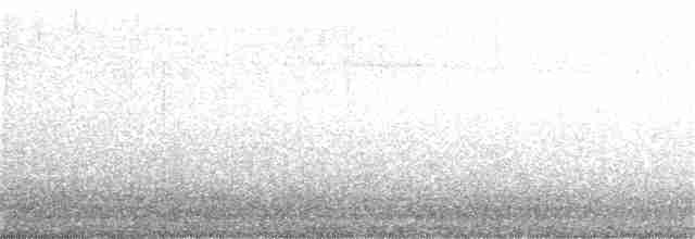 Çizgili Sinek Tiranı - ML343099361