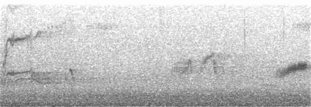 Дрізд-короткодзьоб бурий - ML343138381