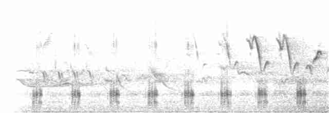 Common Merganser (North American) - ML343182461