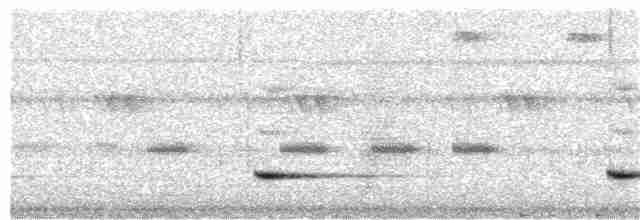 Small-billed Tinamou - ML343185631