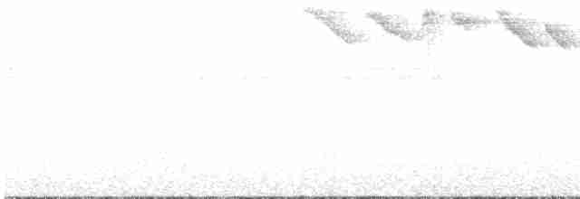 Band-tailed Barbthroat - ML343258791