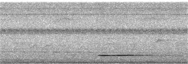 Thicket Tinamou (cinnamomeus Group) - ML343467341