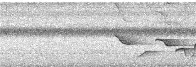 Spot-breasted Wren - ML343468301