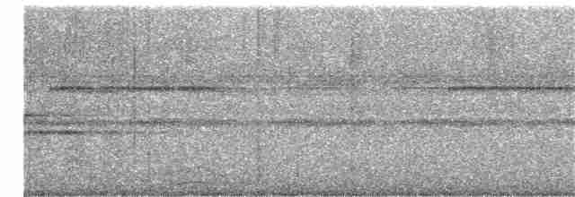 Lattice-tailed Trogon - ML343469061