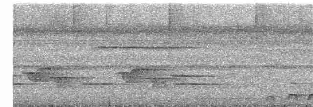 Lattice-tailed Trogon - ML343469121
