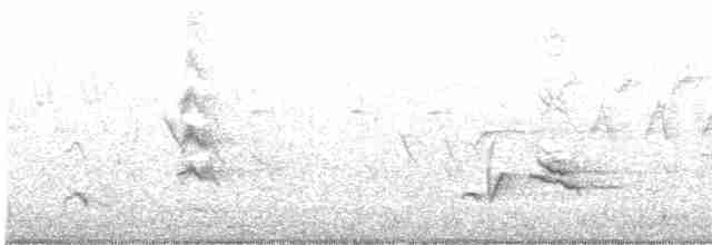 Gray Catbird - ML343506111