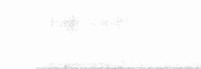 Hooded Warbler - ML343521691