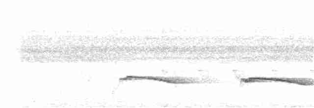 Gray-bellied Cuckoo - ML343582011