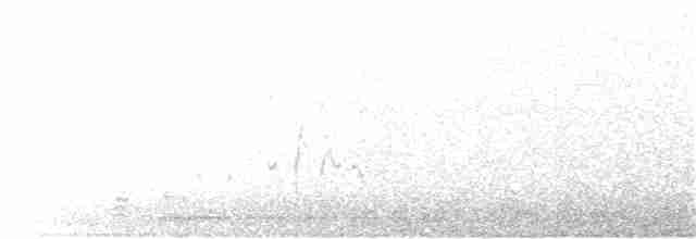 Gallinule sombre - ML343592601