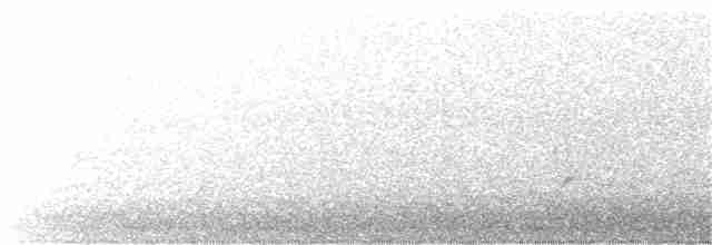 holub běloprsý - ML343592641