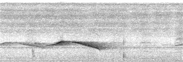 Puff-throated Babbler - ML343593861