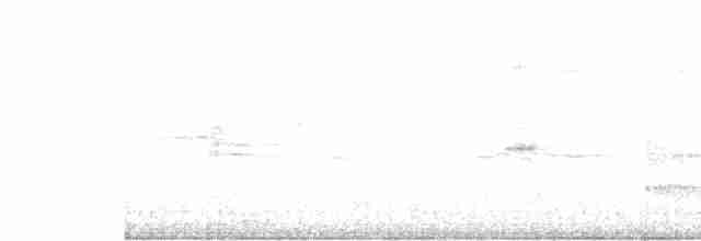 Кравчик лусонський - ML343613051