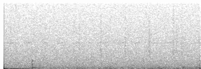 Geniş Gagalı Kolibri - ML34364141