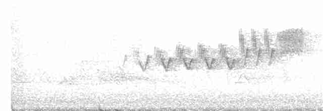 Cerulean Warbler - ML343663091