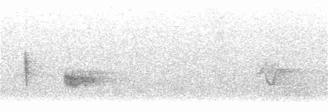 Kara Kanatlı Piranga - ML343694771