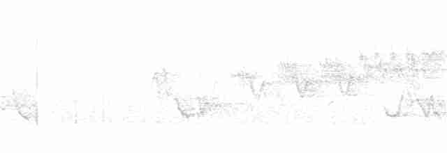Cerulean Warbler - ML343707821