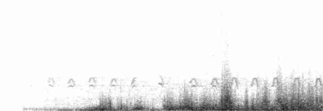 drozdec mnohohlasý - ML343724411