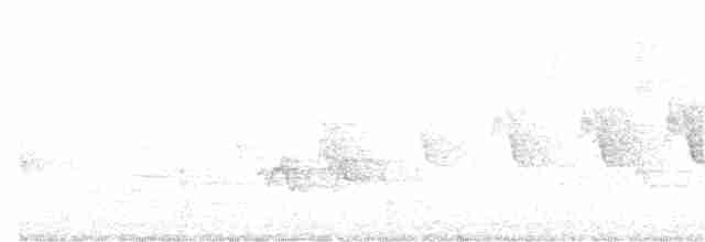 Ovenbird - ML343801791