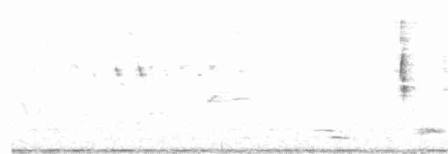 דרורן זהוב - ML343802751