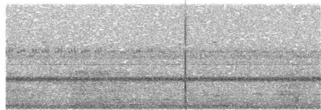 Great Eared-Nightjar - ML343813871