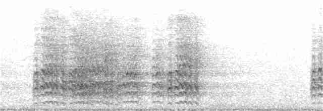 Гіла чорновола [група formicivorus] - ML343822991