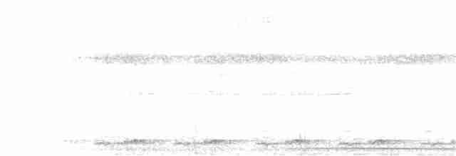 Black-eared Wood-Quail - ML343849611