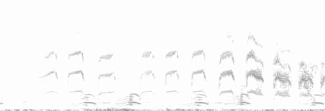 Common Tern - ML343856761