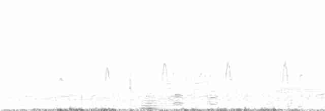 Синекрылый чирок - ML343890911